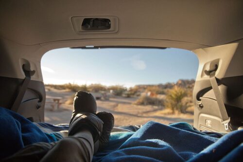 Joshua Tree Camping – What You Need to Know