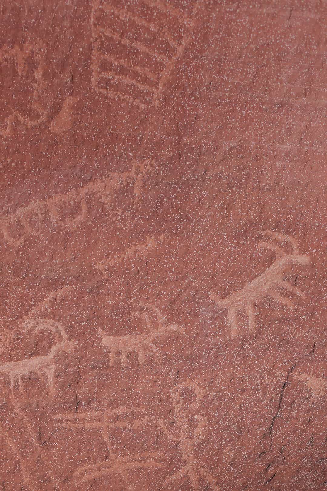 Atlatl Rock Petroglyphs