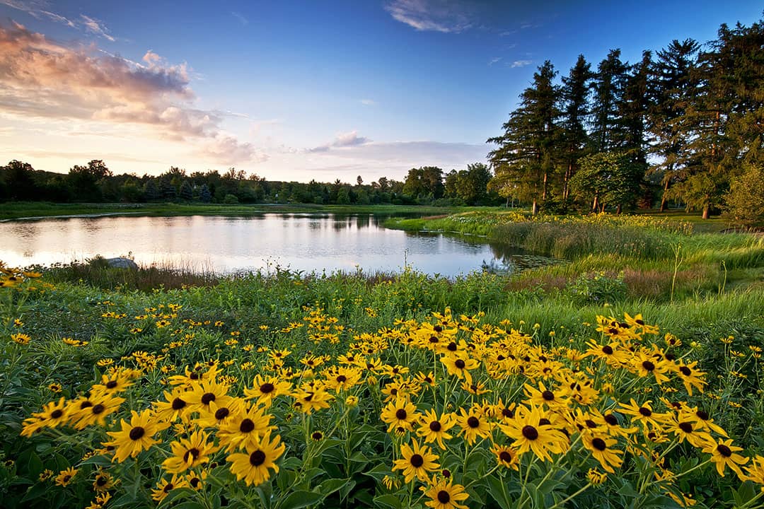 Morton Arboretum One Day Trip from Chicago