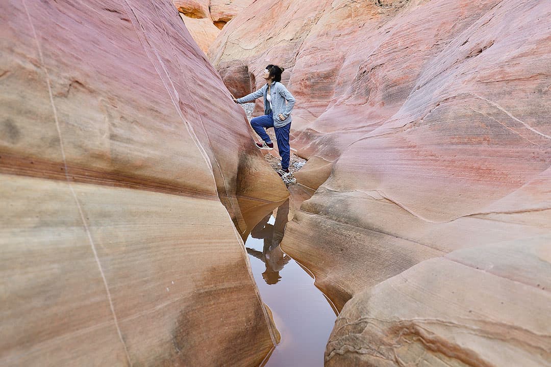 Pink Canyon Valley of Fire State Park NV