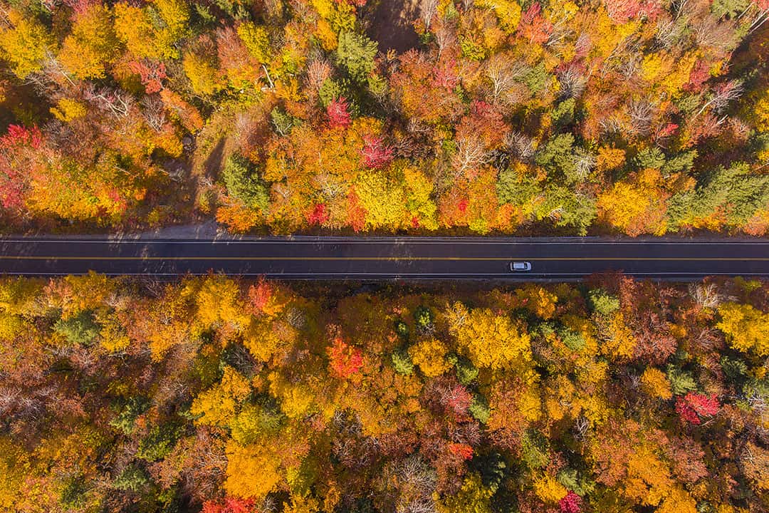 Kancamagus Highway White Mountains New Hampshire + 15 Beautiful Short Day Trips from Boston