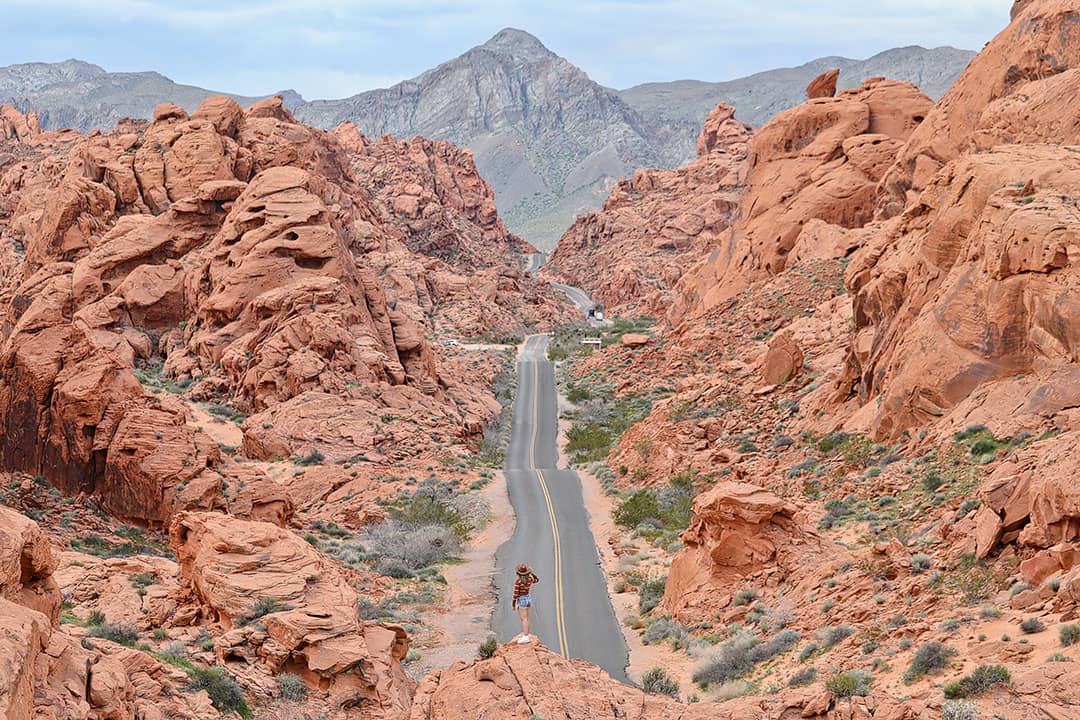 are dogs allowed in valley of fire state park