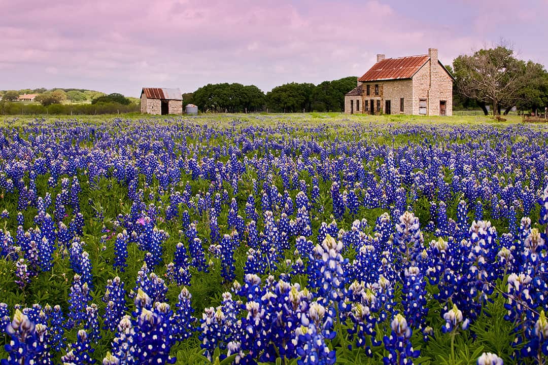 Bluebonnet House Marble Falls + 15 Best Day Trips from Austin TX to Take Next