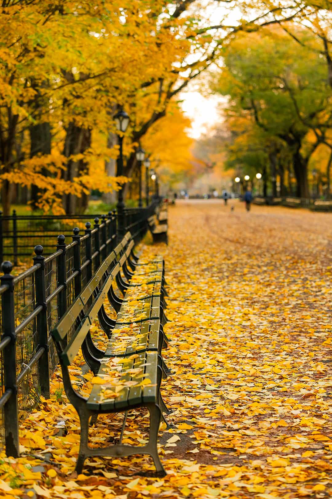 15 Best Places To Visit In November In USA Local Adventurer