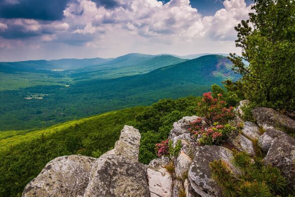 15+ Day Trips from DC You Need to Explore Next » Local Adventurer