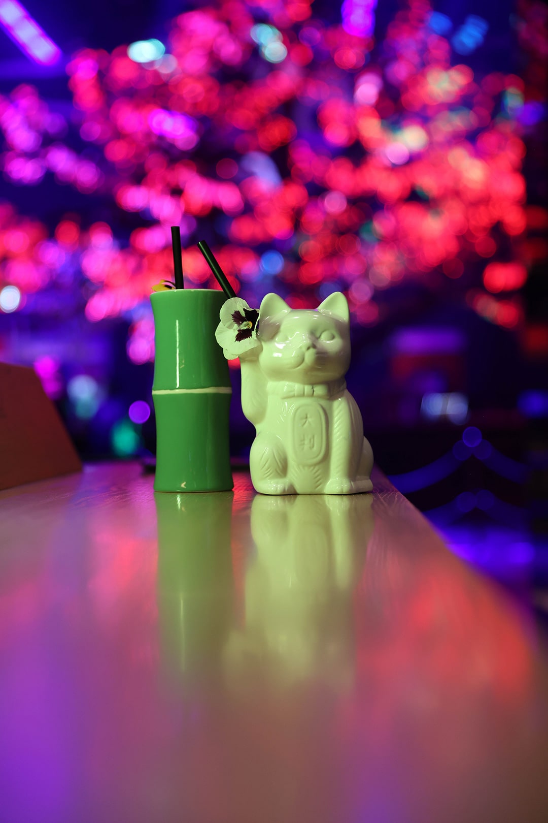 kaia cat drinks