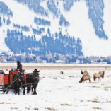 11+ Unforgettable Things to Do in Jackson Hole Wyoming in the Winter