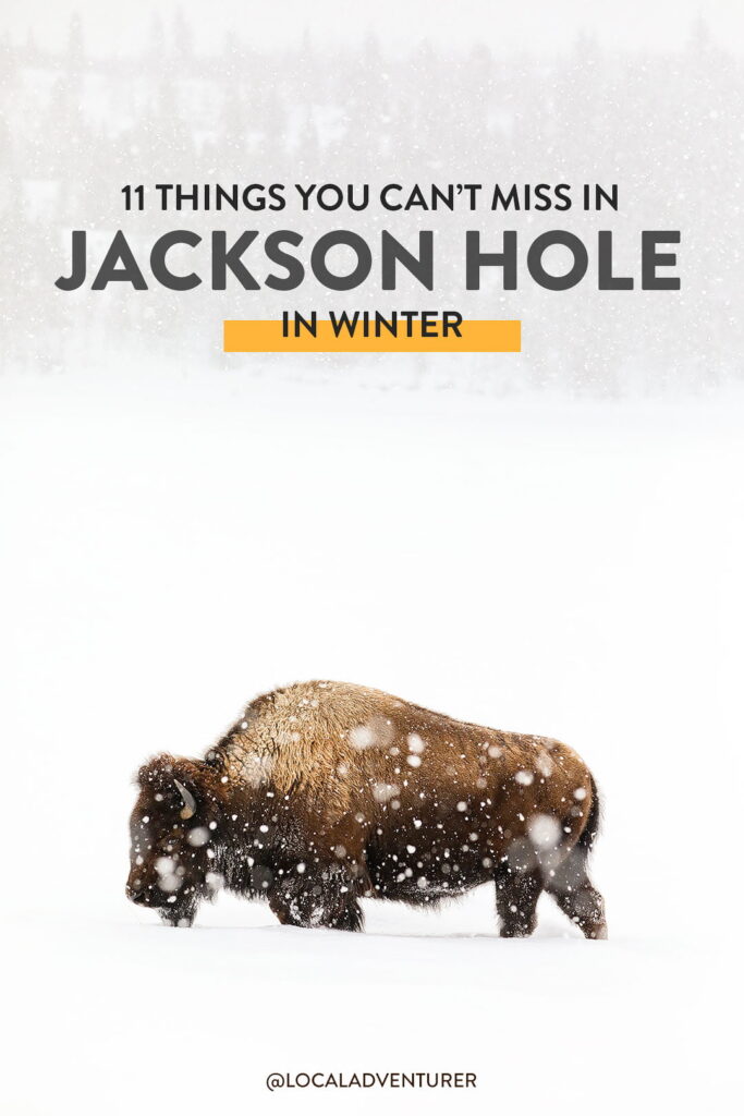 11+ Unforgettable Things to Do in Jackson Hole in Winter