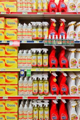 Meow Wolf Las Vegas - What You Need to Know Before You Go