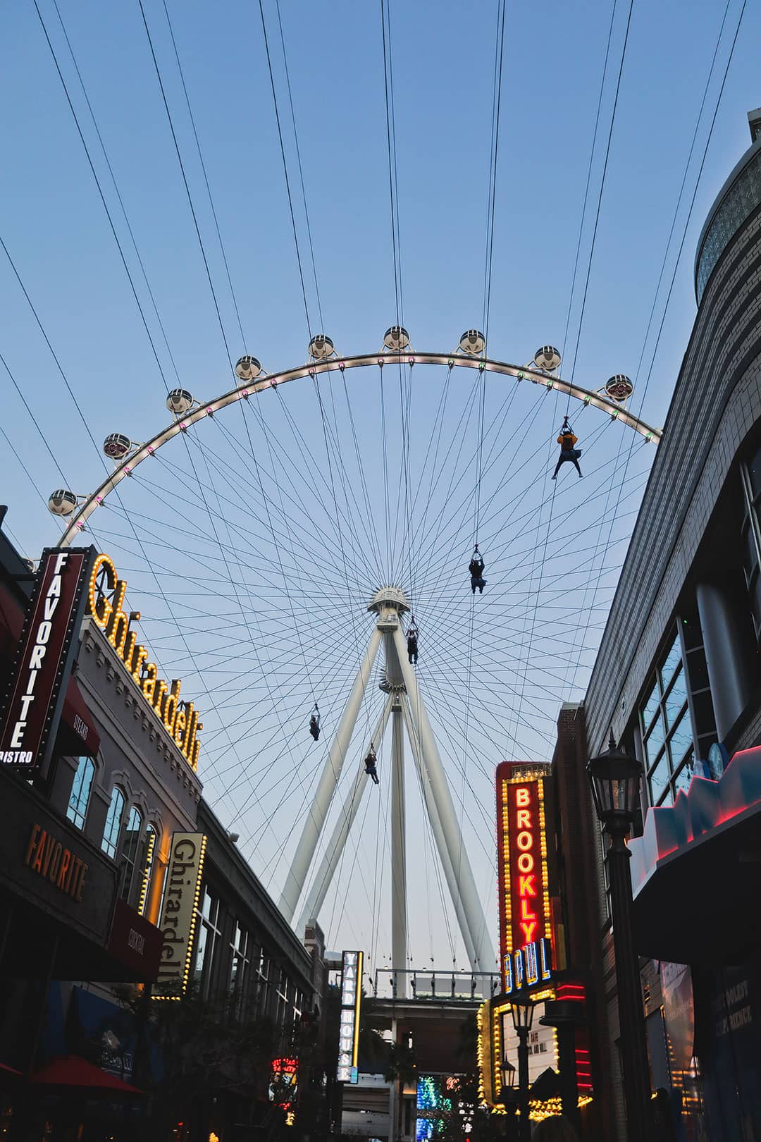 linq zipline