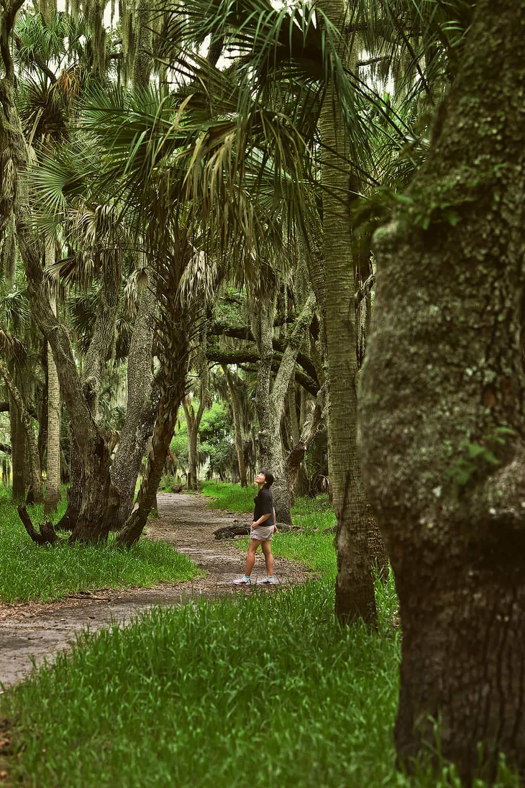 Myakka State Park FL + 7 Fun Things to Do in Sarasota FL for First Timers