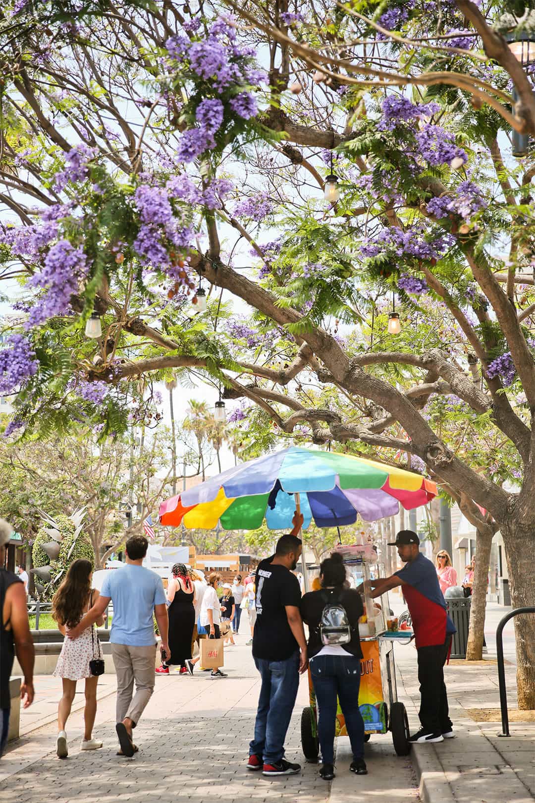 3rd street promenade in santa monica