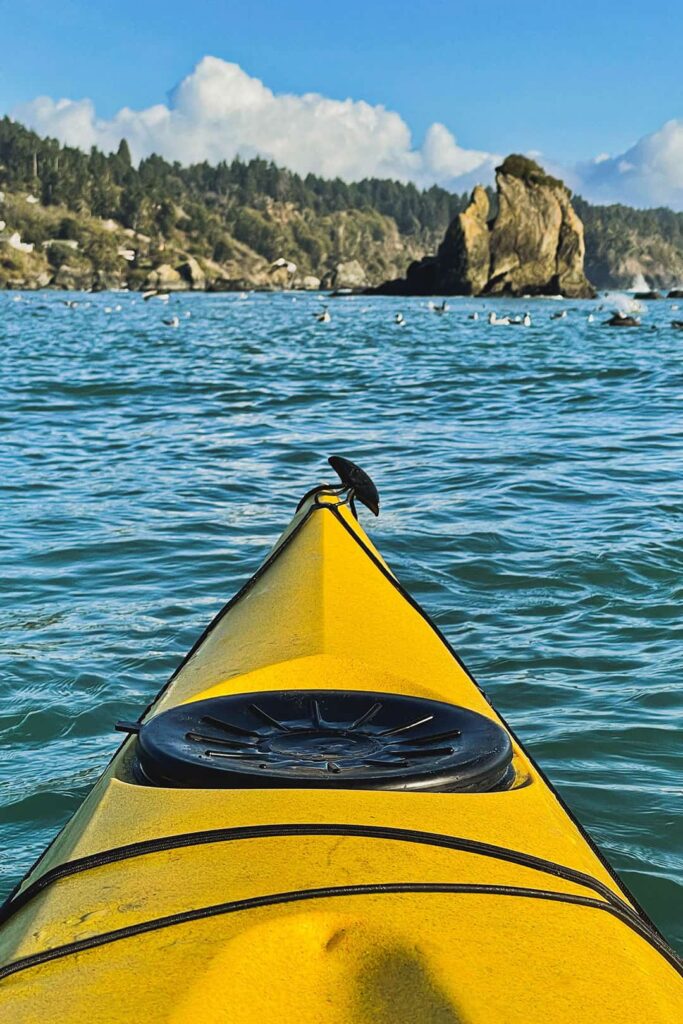 kayak trinidad bay california