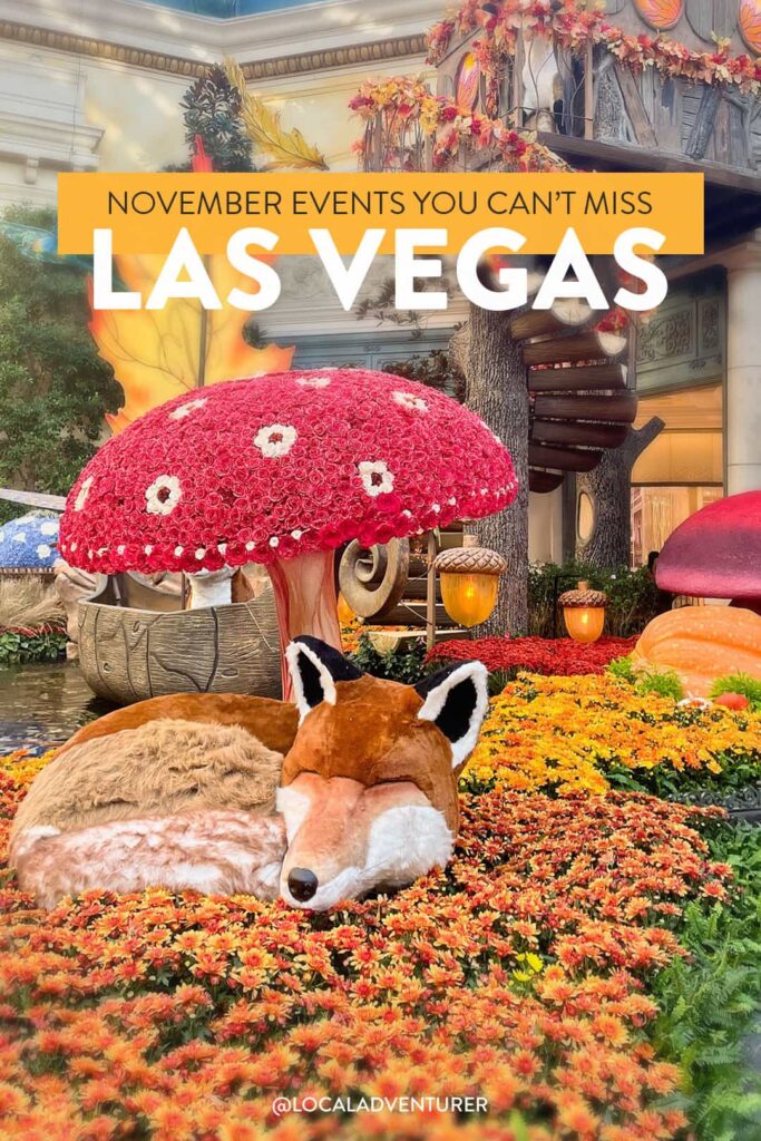 Thanksgiving in Las Vegas - Things to Do in November & More