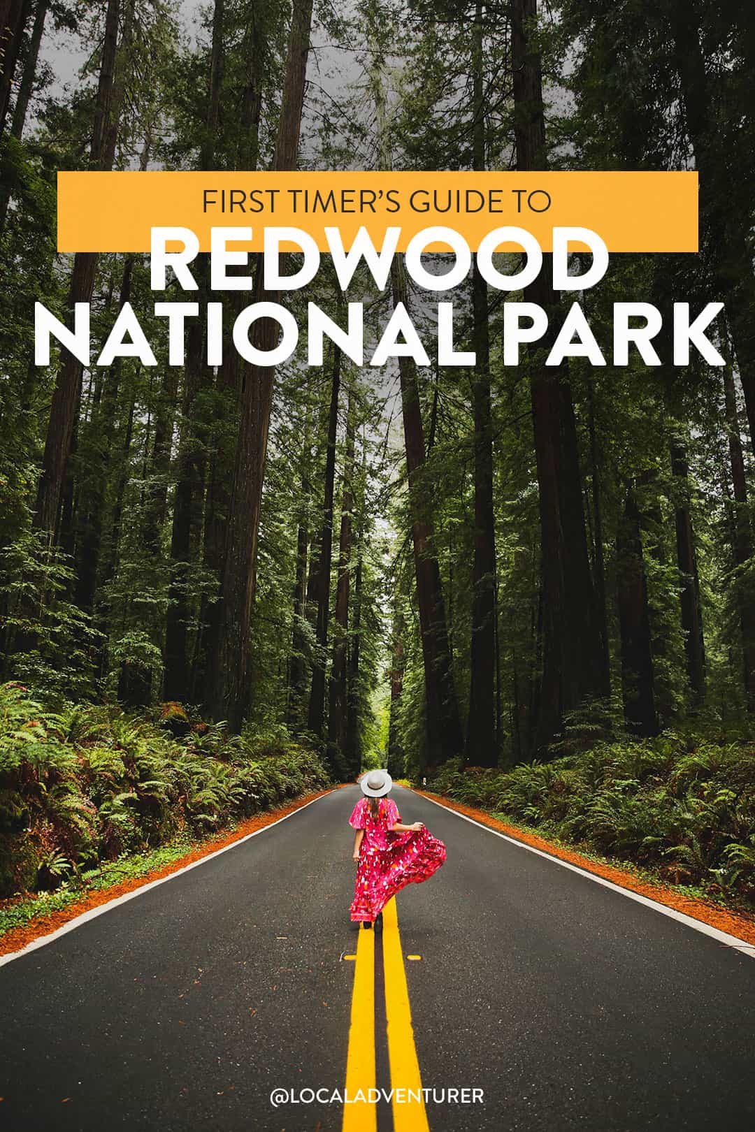 15 Epic Things to Do in Redwoods National Park and State Parks