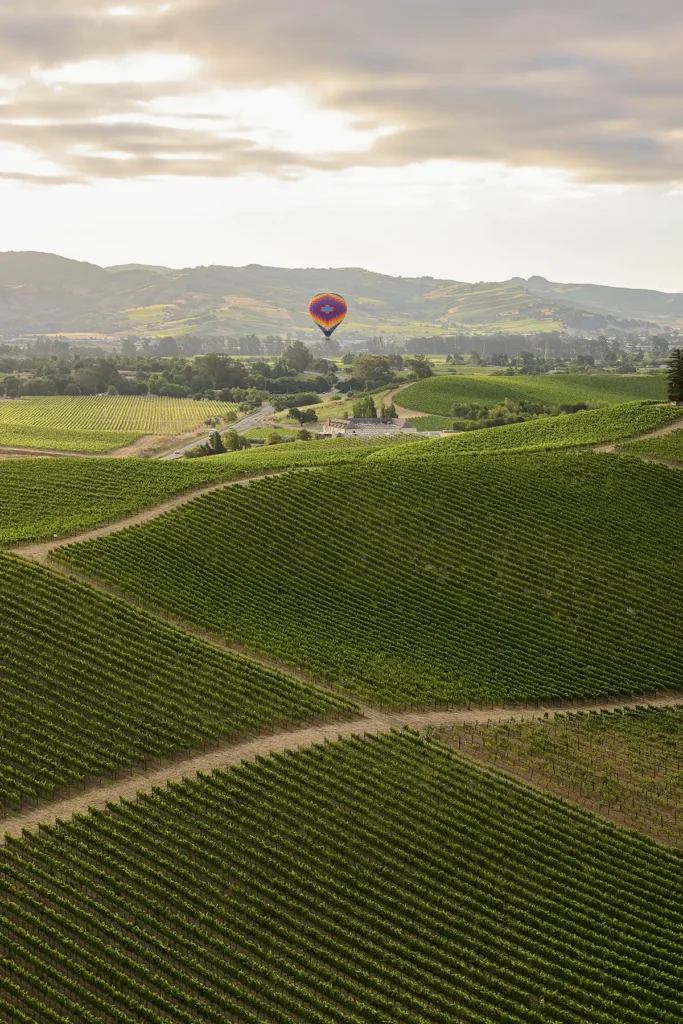 sonoma balloon rides