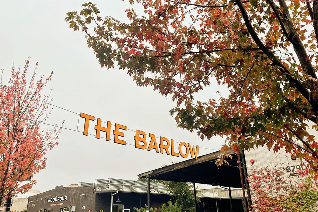 the barlow sebastopol