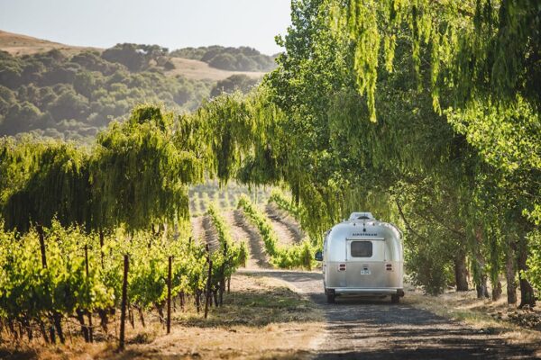 things to do sonoma valley