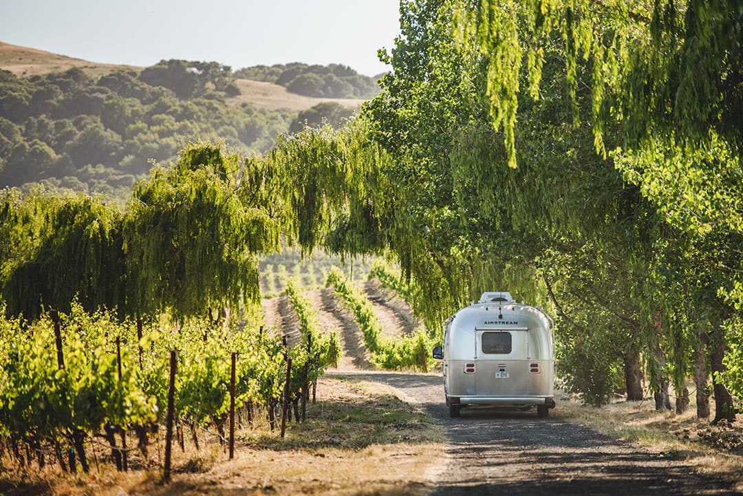 You are currently viewing 7 Best Things to Do in Sonoma Valley