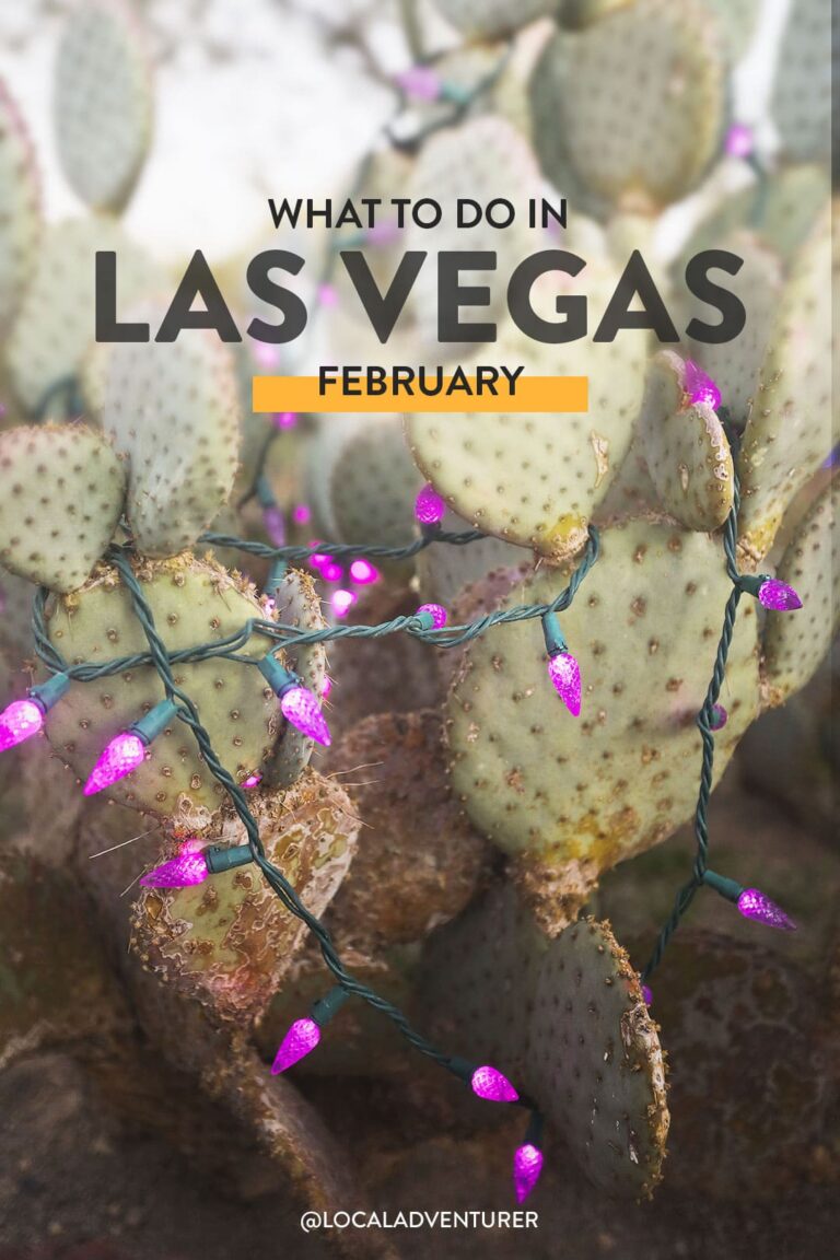 Best Things to Do in Vegas in February 2024 + What to Pack + More