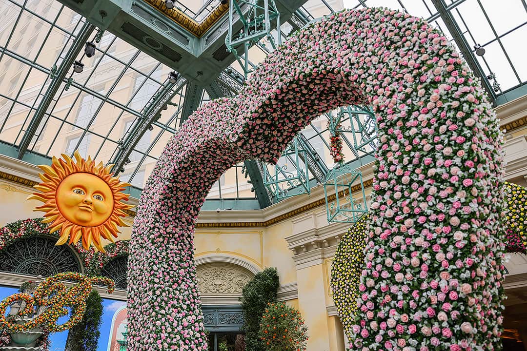 Bellagio Conservatory & Botanical Gardens Your Complete Guide