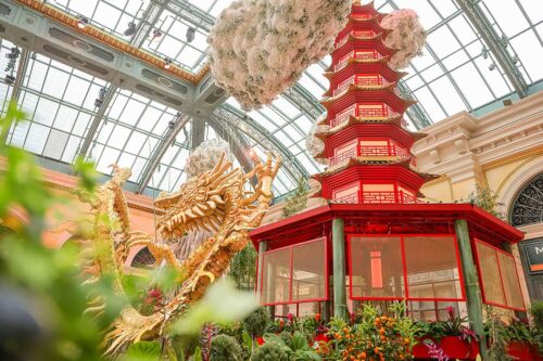Bellagio Conservatory & Botanical Gardens – What You Need to Know