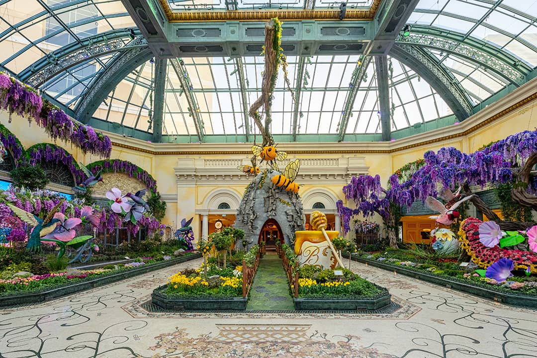 bellagio conservatory 2025 spring display