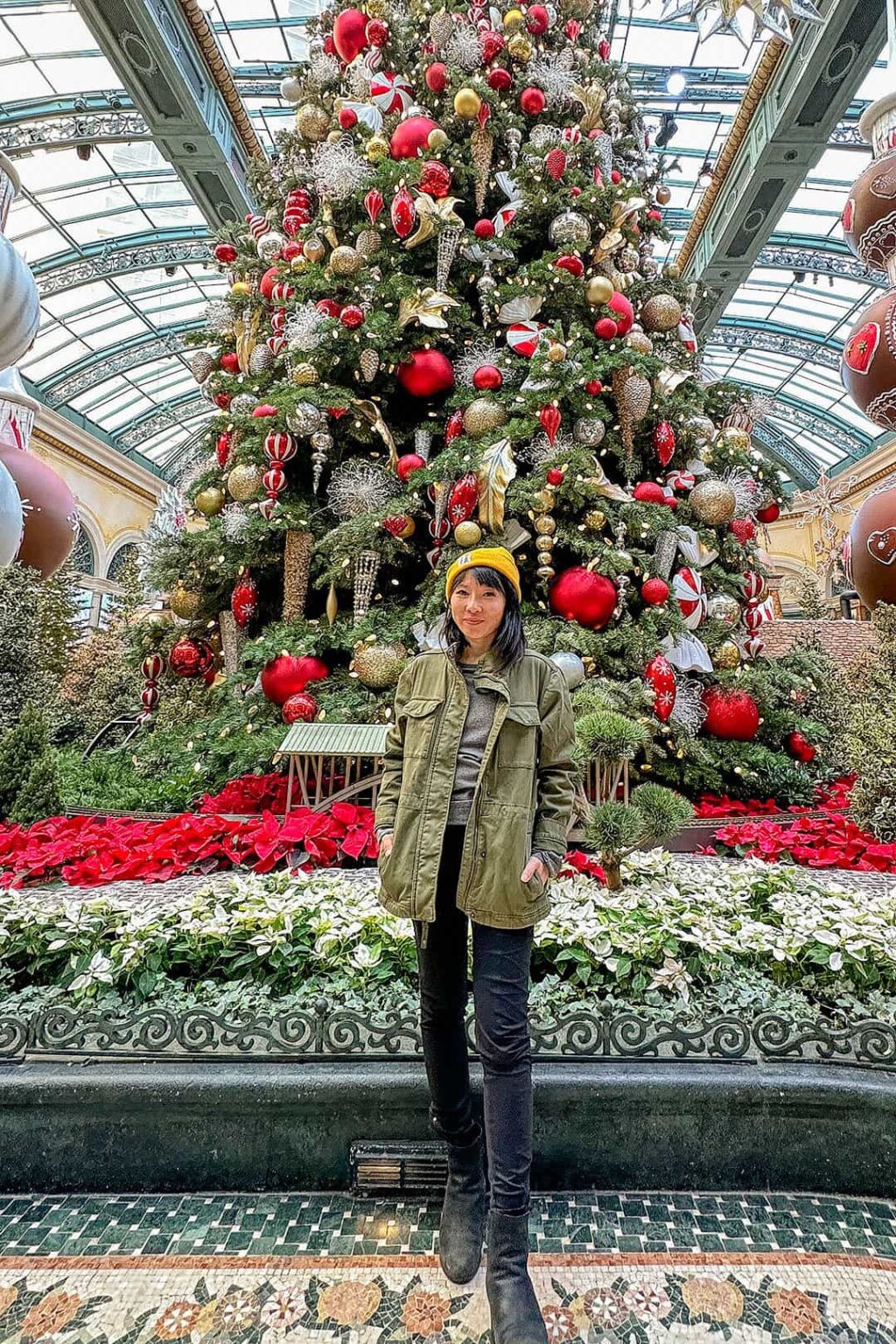 Christmas at the Bellagio Botanical Gardens 20232024 » Local Adventurer