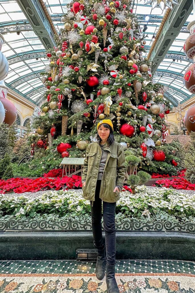 Christmas at the Bellagio Botanical Gardens 20242025 » Local Adventurer