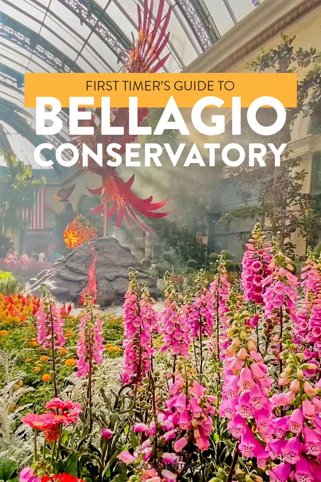 bellagio conservatory botanical gardens vegas