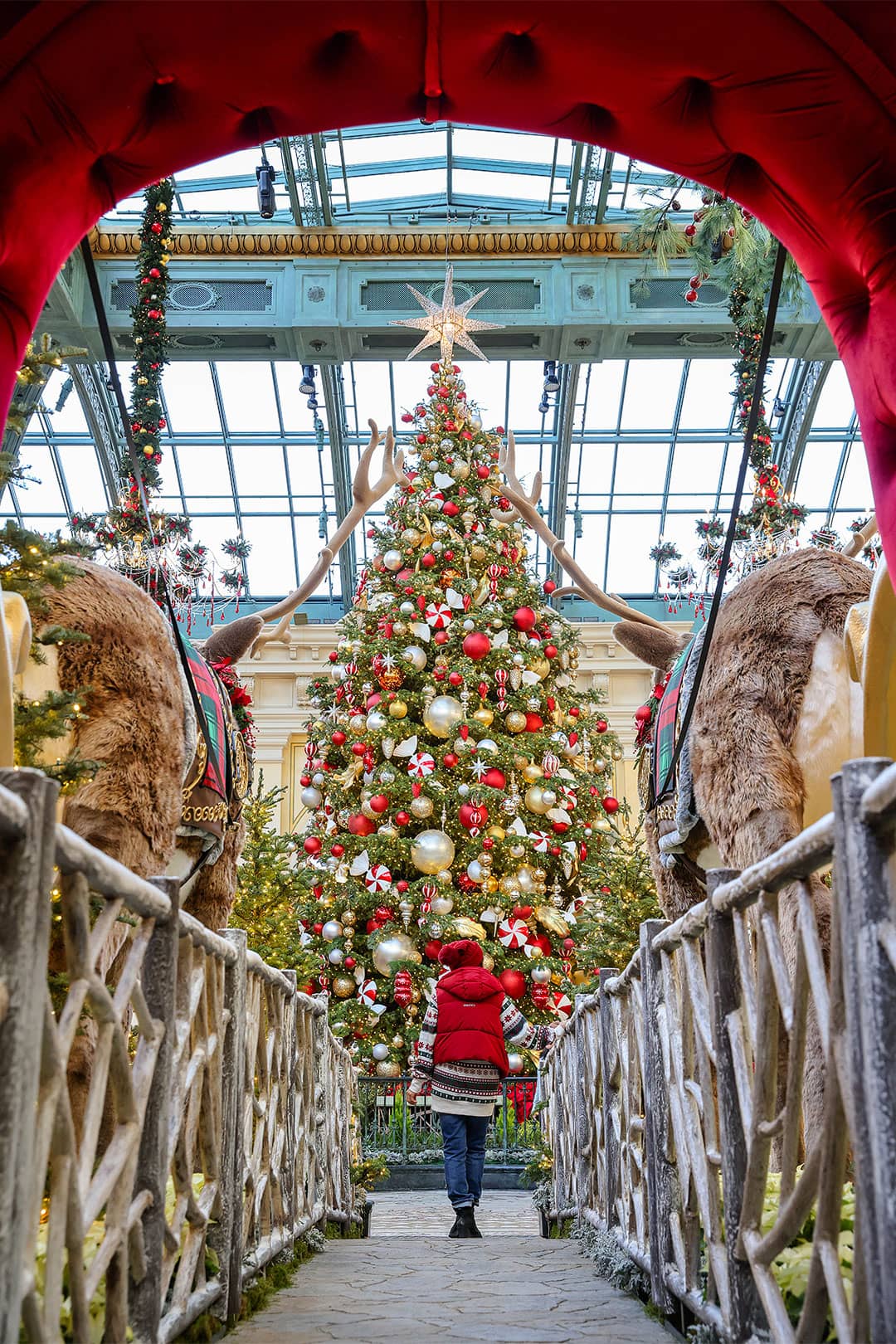 bellagio conservatory christmas 2024