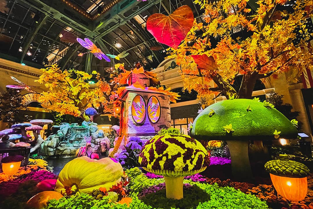 Bellagio Conservatory & Botanical Garden - All You Need to Know