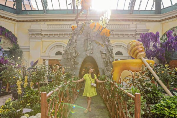 bellagio conservatory free