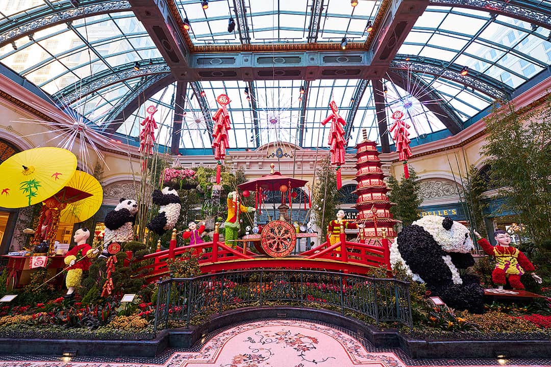 bellagio conservatory lunar new year 2025