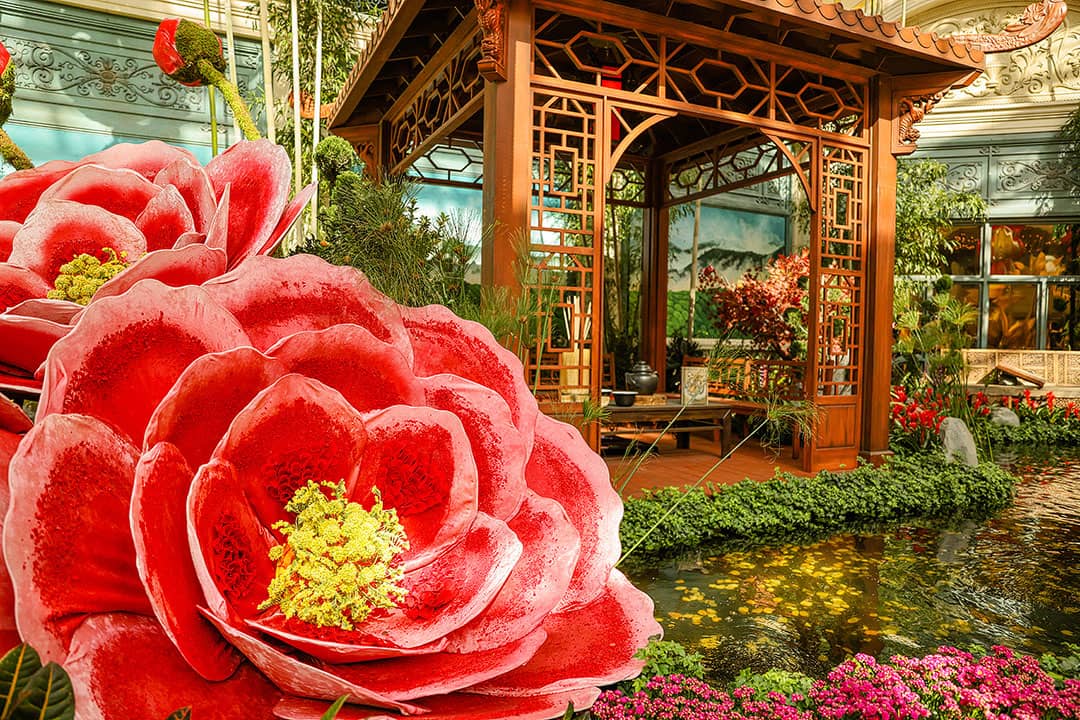 Celebrate The Year Of The Ox At Bellagio Conservatory's Lunar New Year  Display - Secret Las Vegas