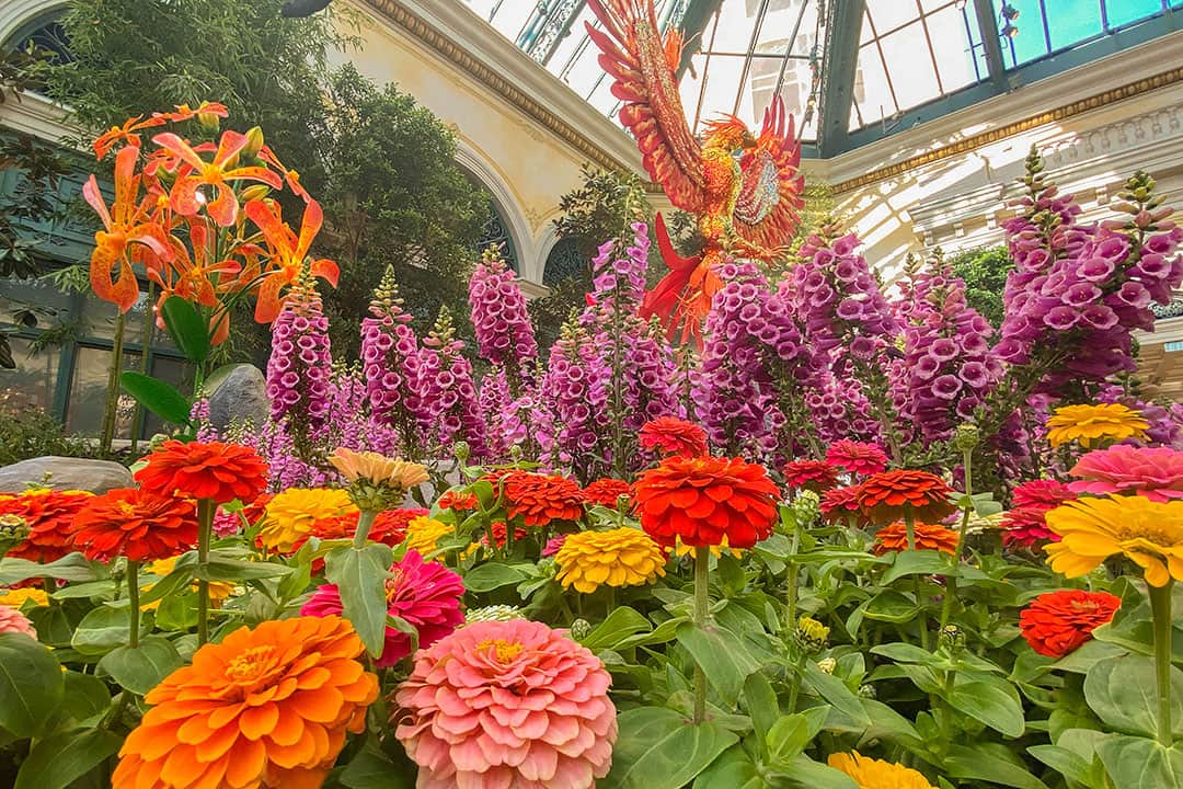 You still have time to see Bellagio's Conservatory & Botanical Gardens Year  of the Rabbit Spectacular Display - Life Affairs Luxury Magazine