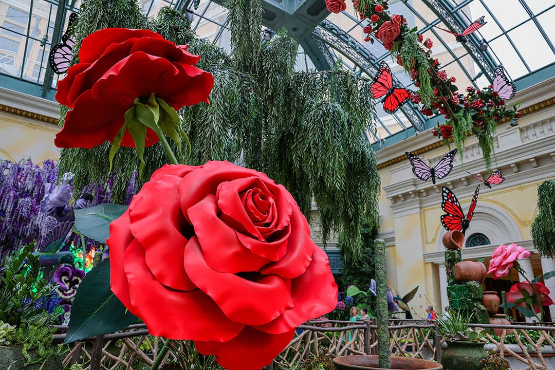 Bellagio Botanical Gardens in Las Vegas - See Stunning Floral Productions -  Go Guides