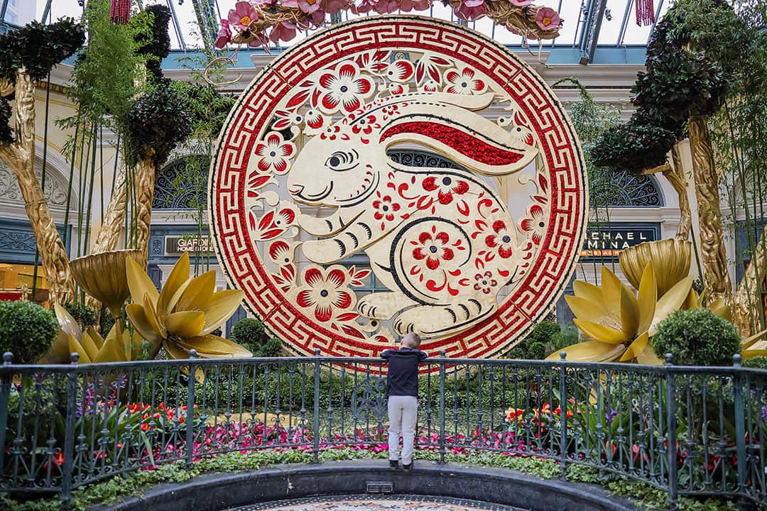 Chinese New year in Bellagio Hotel Conservatory & Botanical Gardens in Las  Vegas Stock Photo - Alamy