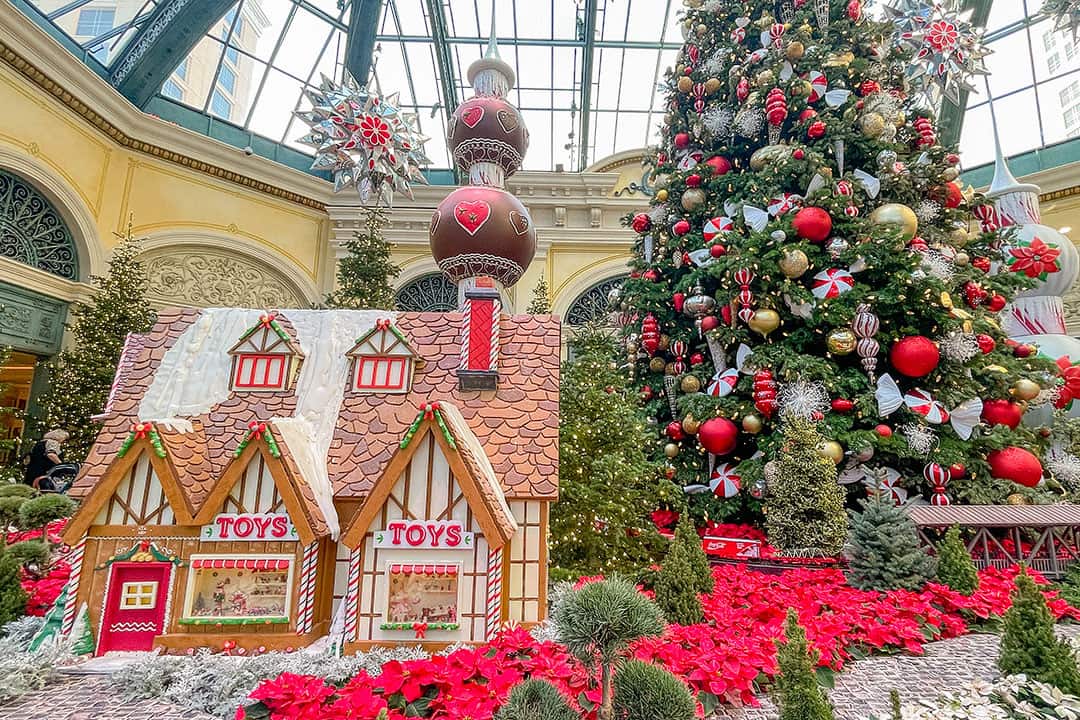 Christmas at the Bellagio Botanical Gardens 2023-2024 » Local Adventurer