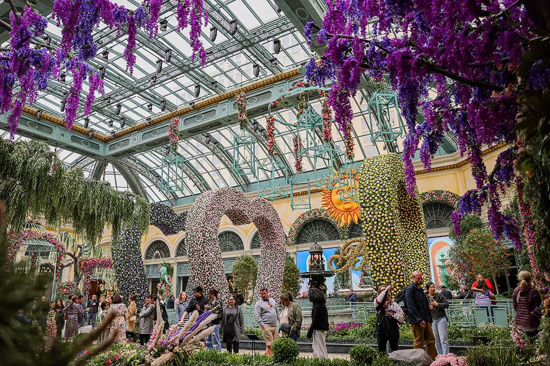 Bellagio Conservatory & Botanical Garden Spring 2023 Display – PHOTOS -  VegasChanges