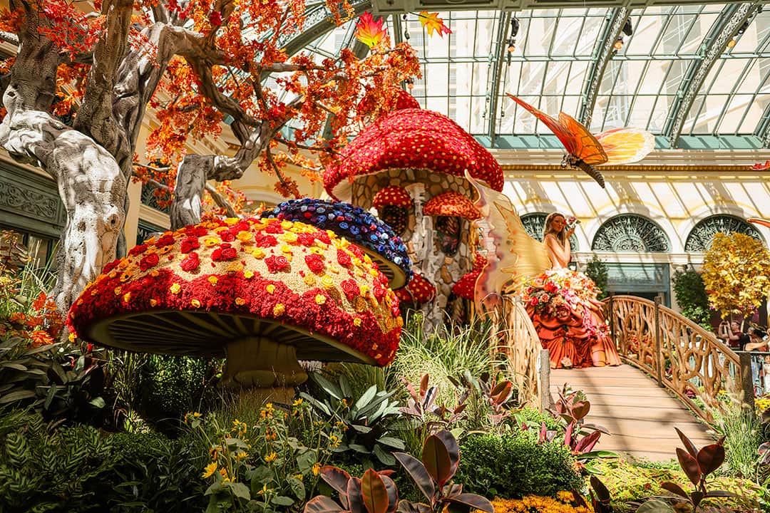Bellagio Botanical Gardens in Las Vegas - See Stunning Floral Productions -  Go Guides