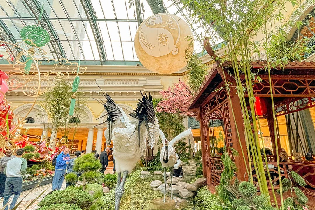 Bellagio Conservatory & Botanical Gardens, January 2023 – spencesgirl