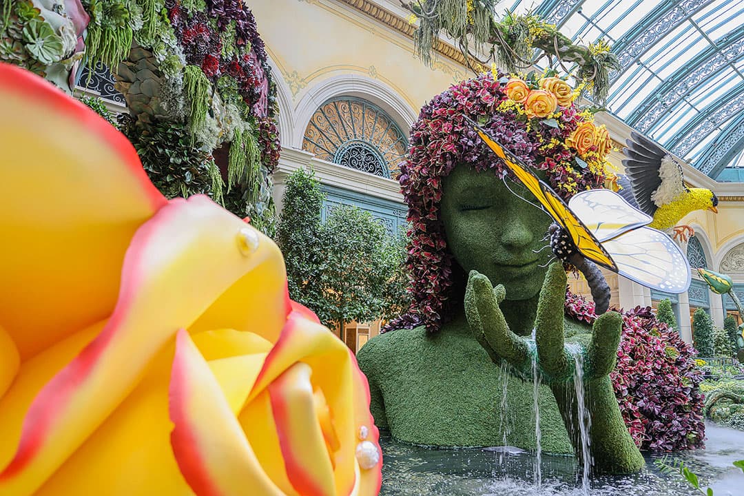 Bellagio Conservatory and Botanical Gardens springs up in Las