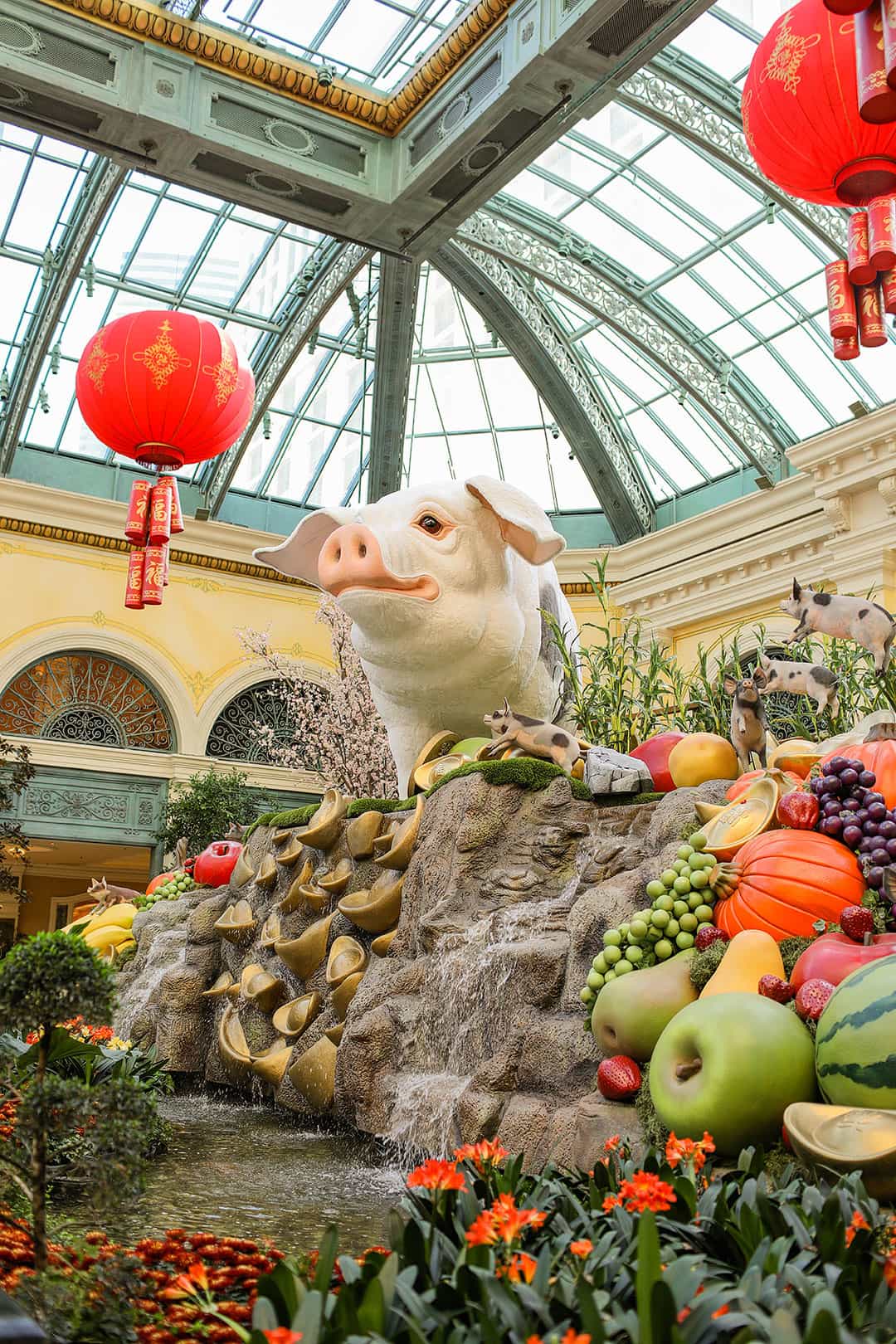 conservatory at the bellagio chinese new year 2019