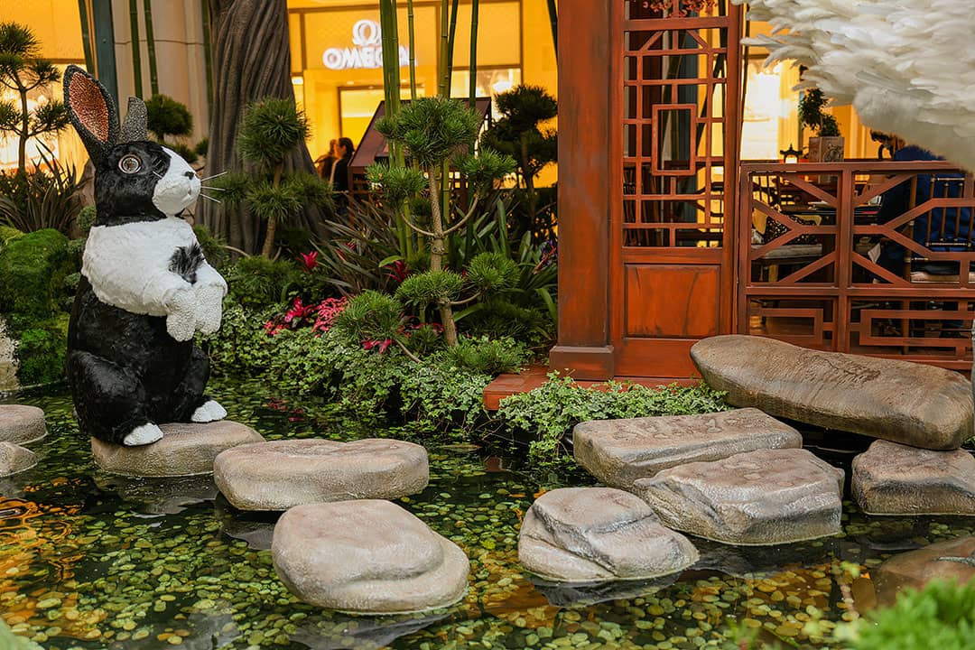 LAS VEGAS - FEB 11: Chinese New Year In Bellagio Hotel Conservatory &  Botanical Gardens On February 11, 2013 In Las Vegas. There Are Five  Seasonal Themes That The Conservatory Undergoes Each