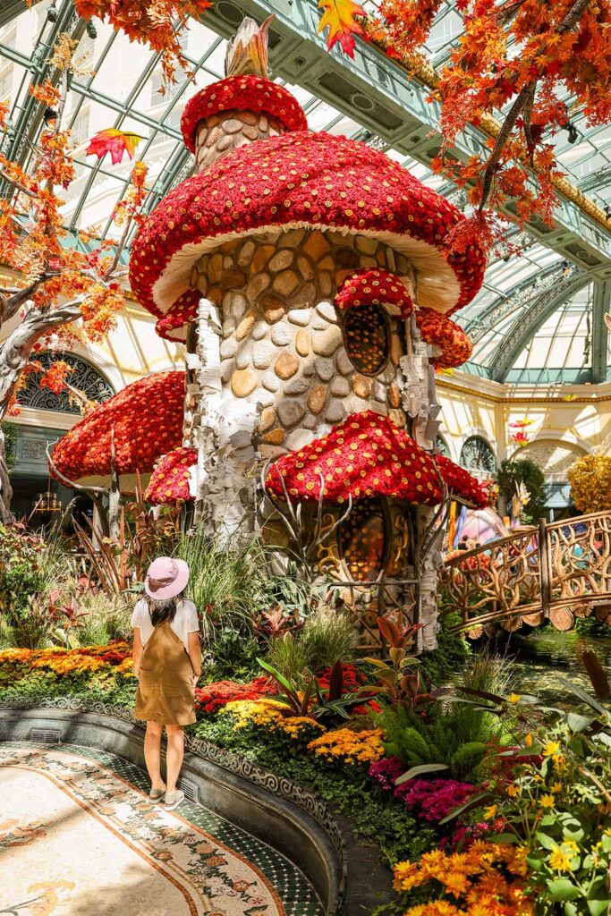 the bellagio conservatory fall 2023