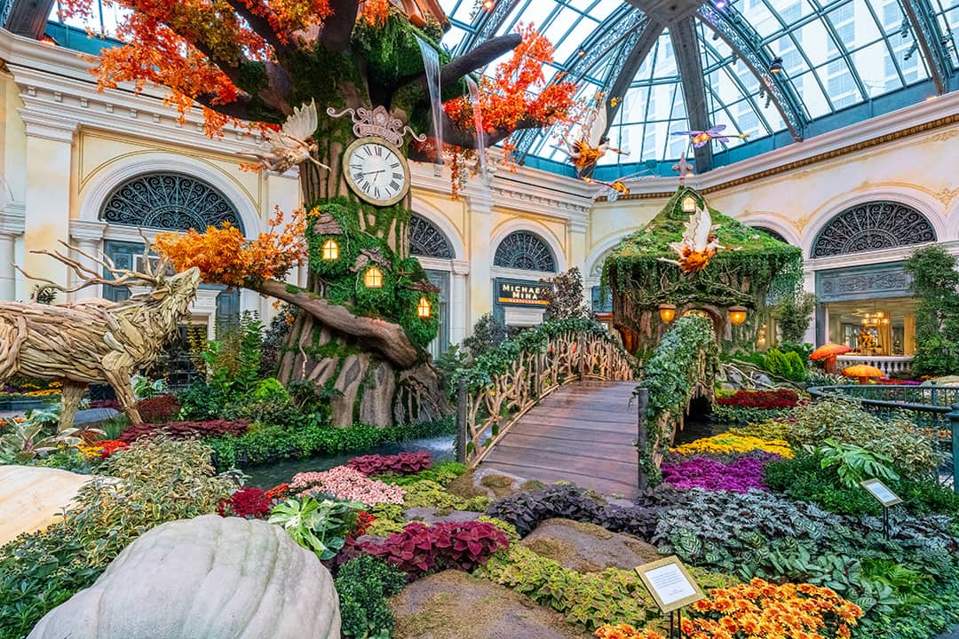 the bellagio conservatory fall 2024