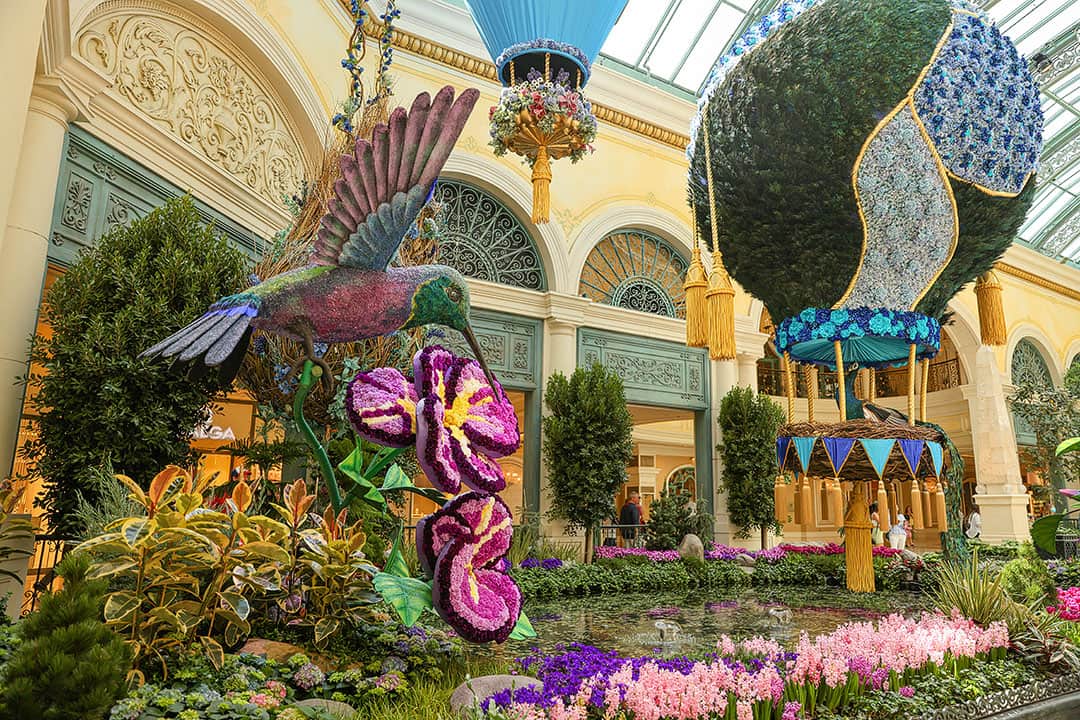 You still have time to see Bellagio's Conservatory & Botanical Gardens Year  of the Rabbit Spectacular Display - Life Affairs Luxury Magazine