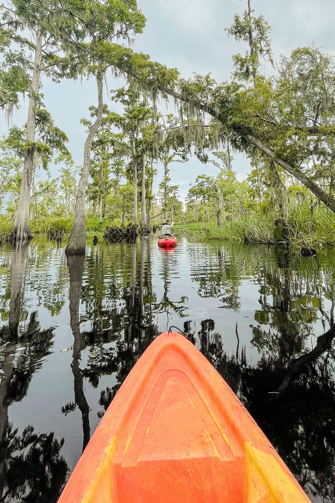 kayak swamp tour new orleans