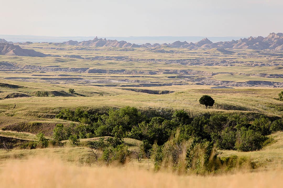 sage creek basin overlook